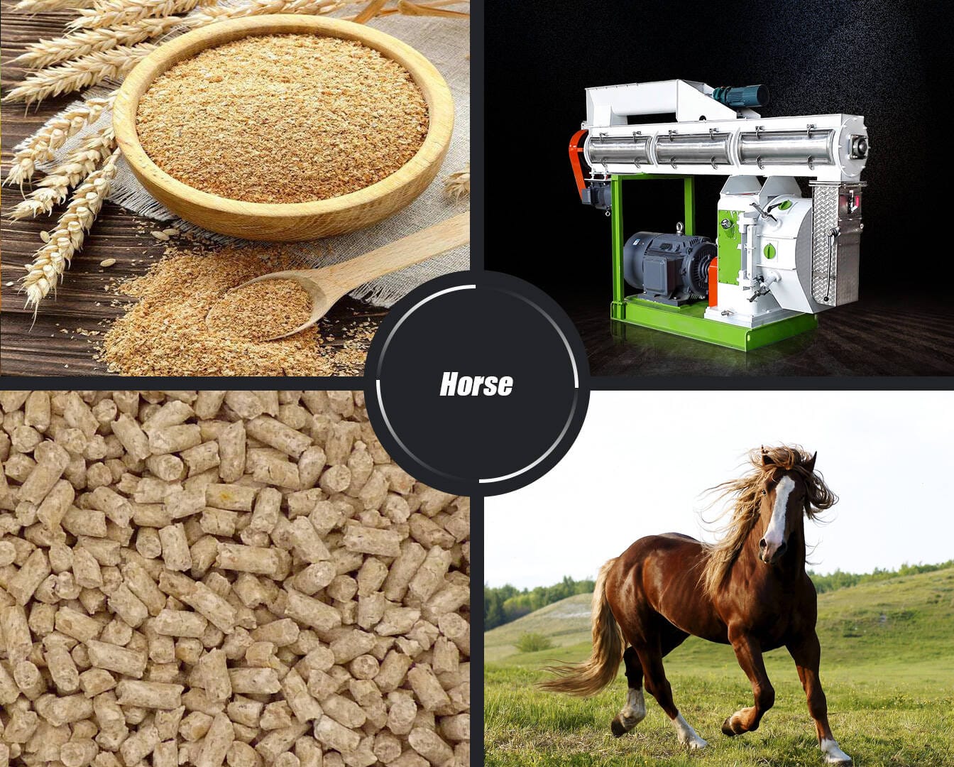 Horse Feed Pellet Production Line