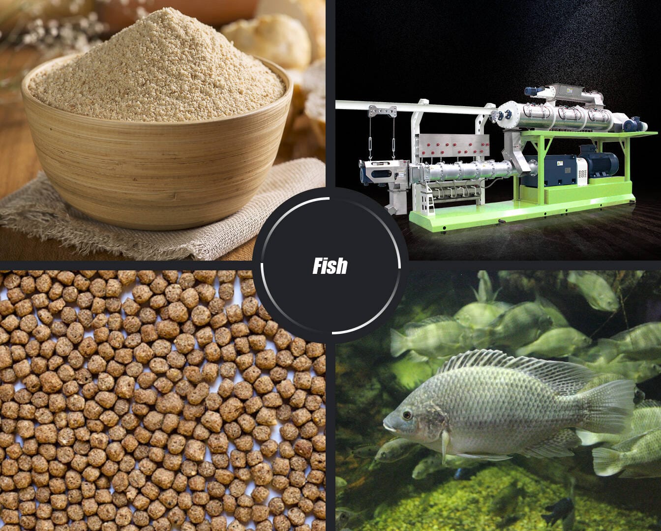 Fish Feed Pellet Production Line