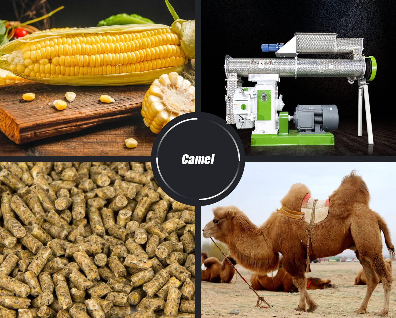 Camel Feed Pellet Production Line