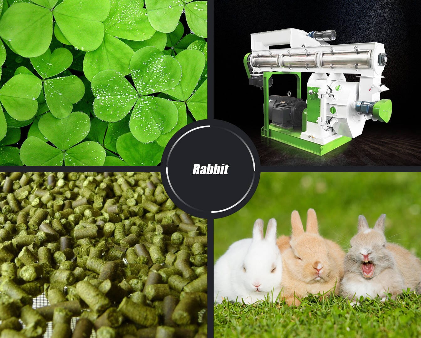 Rabbit Feed Pellet Production Line