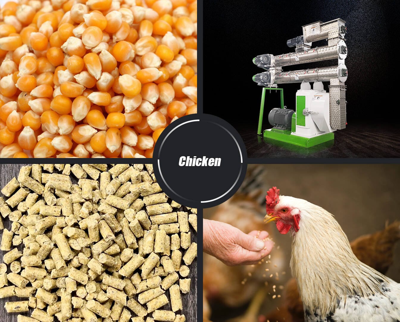 Chicken Feed Pellet Line