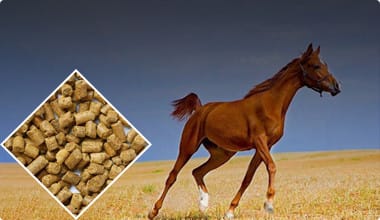 Horse Feed Pellet Production Line