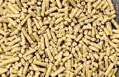 Sheep Feed Pellet Production Line