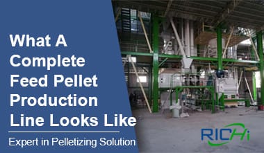 Complete Feed Pellet Production Line