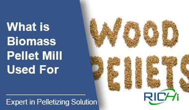 Biomass Pellet Mill System