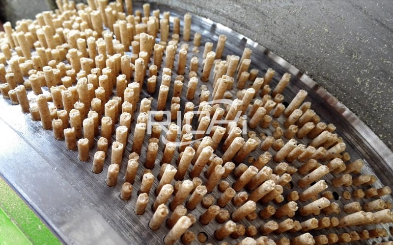 pig feed pellet machinery manufacturer