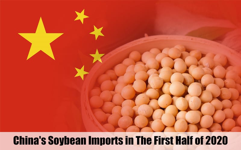 China&'s soybean imports from January to May 2020