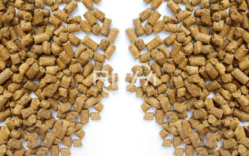 Multi chicken cow fish feed pellet making machine