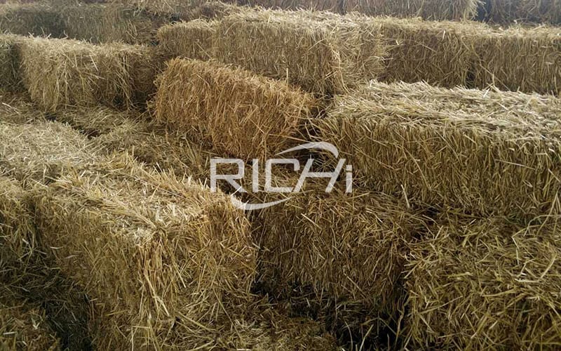 Wheat straw can be used as feed for cattle and sheep