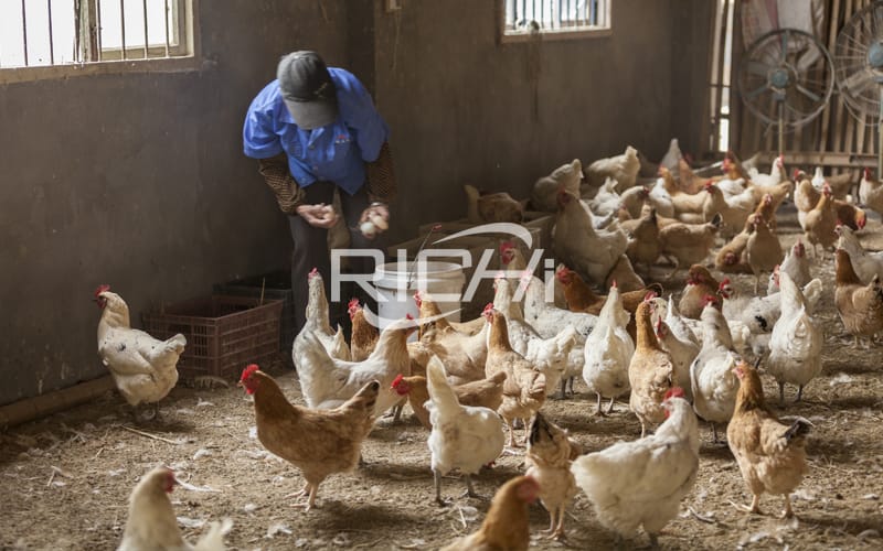 5 ton per hour poultry animal feed processing plant