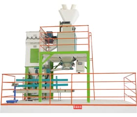 DCS Series Automatic Packing Scale