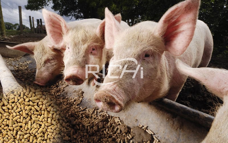 Examples of two feed formulas for piglets