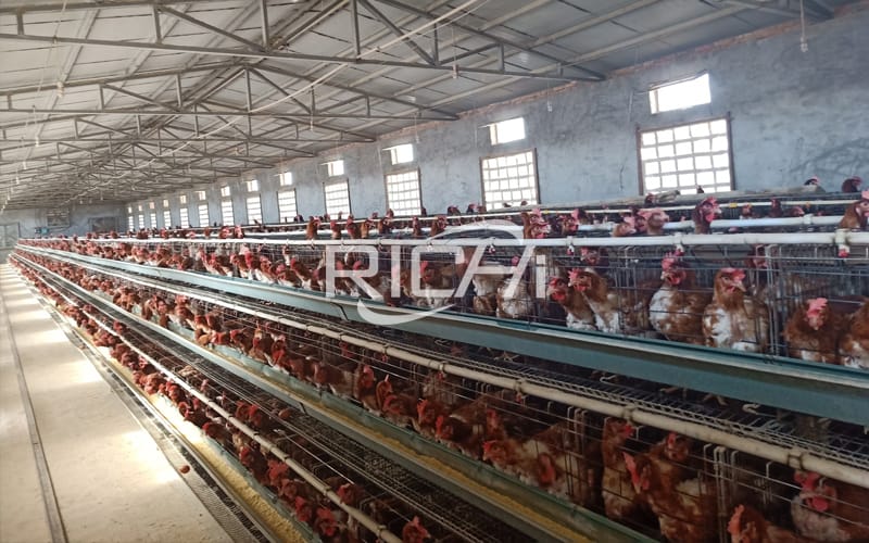 poultry chicken feed plant manufactures from china