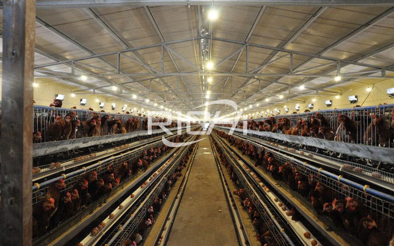 Widely used wholesale poultry laying hens feed production line