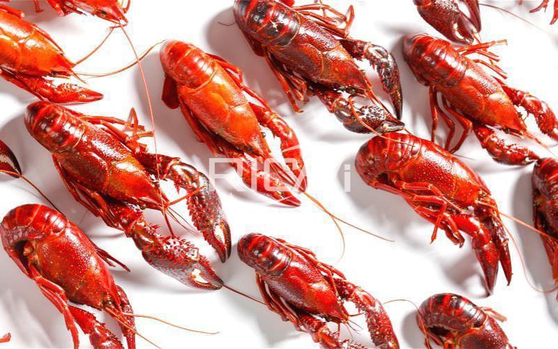 large capacity crayfish feed processing line machine manufacturers