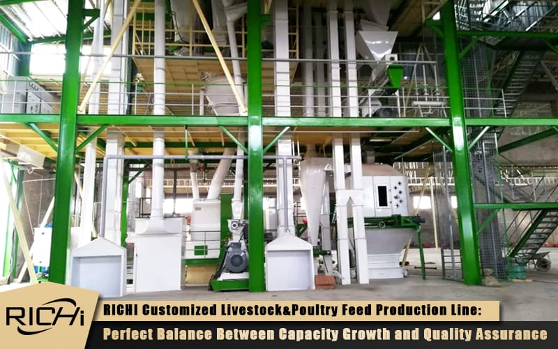 boiler chicken poultry feed making machinery