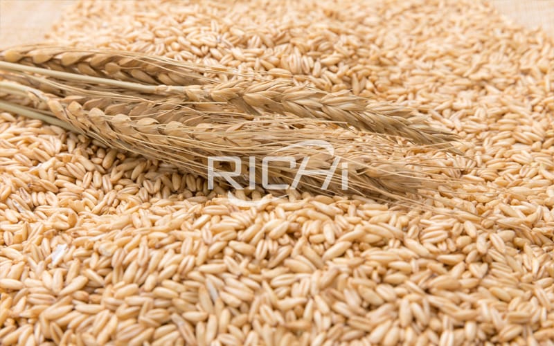 Attention should be paid to the use of wheat bran and wheat straw feed