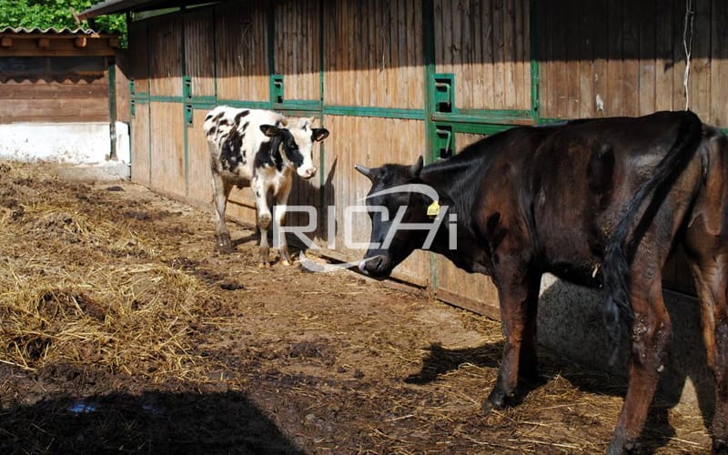 what is needed for production of cattle feed