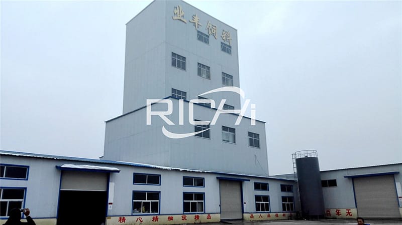 10t/h large scale fish feed extruder plant
