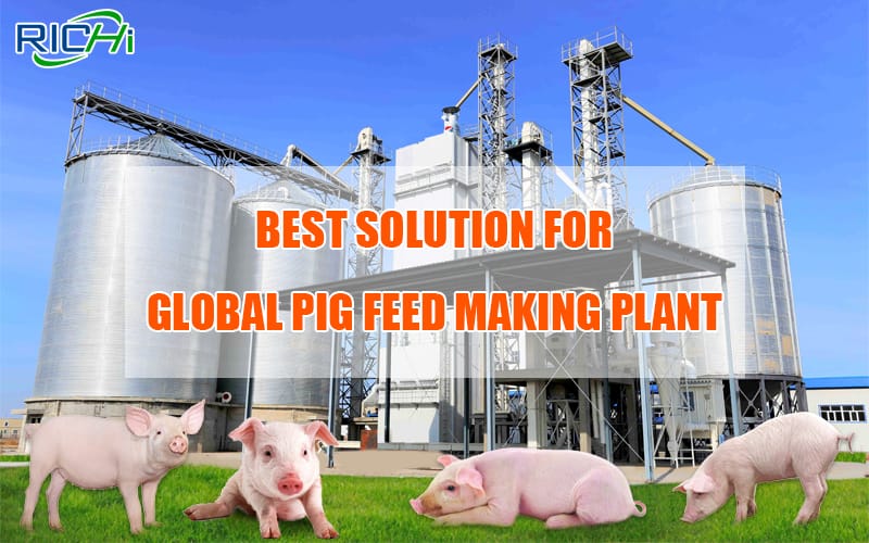 Best Solution For Global Pig Feed Making Plant