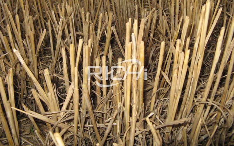 Processing technology of crop straw as raw material for animal feed