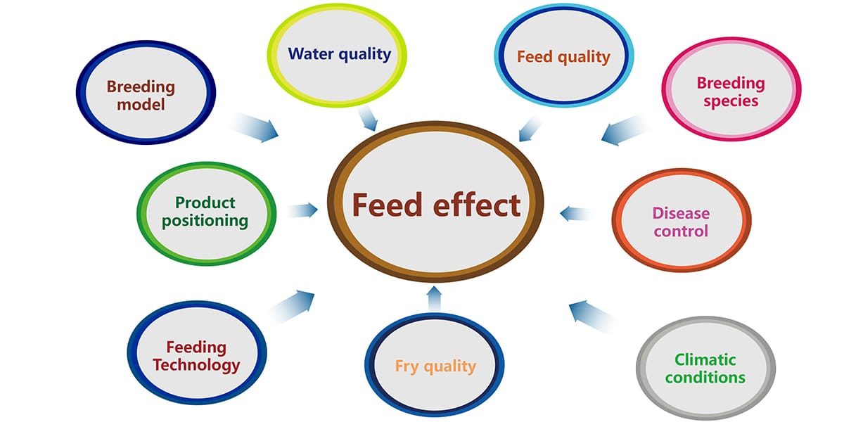 1 ton per hour fish feed pellet processing plant cost