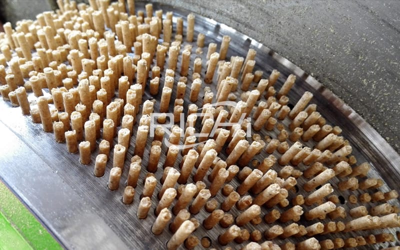 what is process line of making animal feed pellet