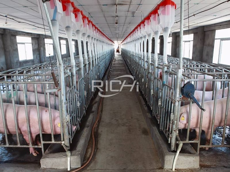 Construction technology and facility configuration of large-scale pig farm