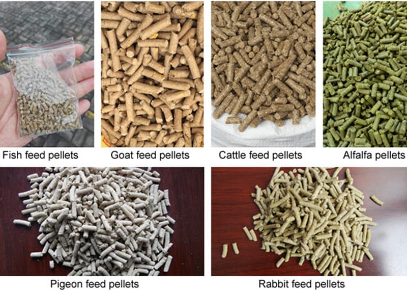 How to control the quality of pelleting process in fully automatic animal feed production line?