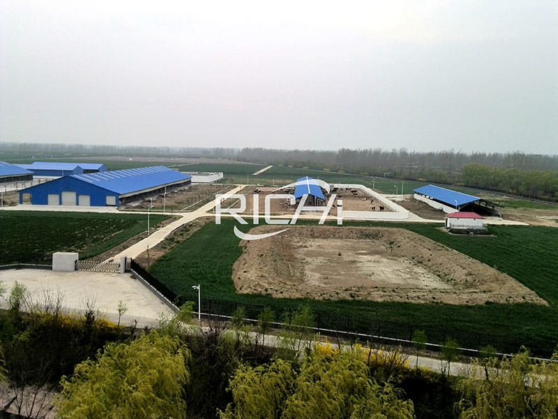 poultry feed making machine grinding mill