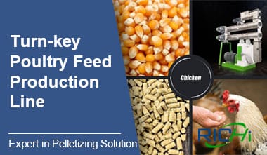 Turn-key Poultry Feed Pellet Production Line