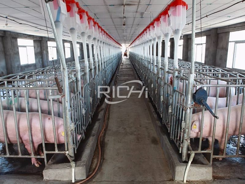 pig feed plant animal food manufacturing equipment