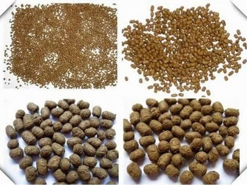 shrimp feed pellet machine food machinery