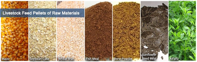 Feeding of raw materials in the animal feed plant production process