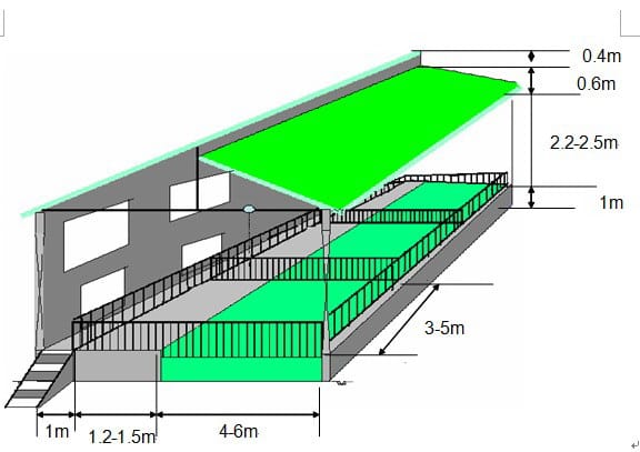 livestock pig feed plant factory management