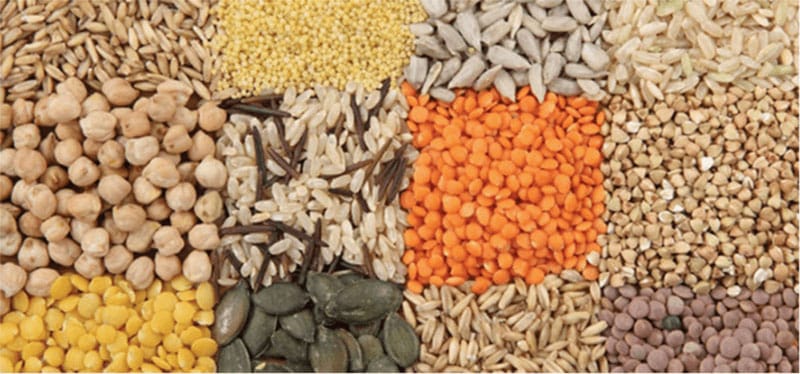 How to control the raw material storage quality of the animal feed factory?