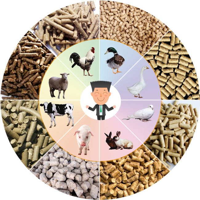 dog chicken cattle goat pig use food mill animal feed pellet plant