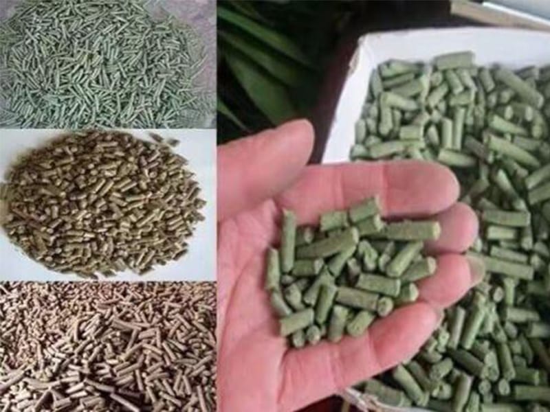 animal sheep cattle feed alfalfa pellet production plant