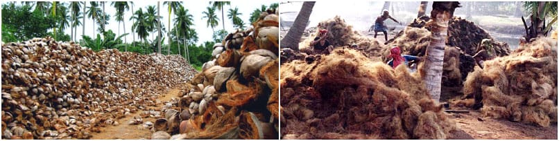 biomass industrial wood pellet machine for Coconut shreds pellet plant project