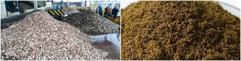 Why is fish meal the best feed material for the aquaculture industry?