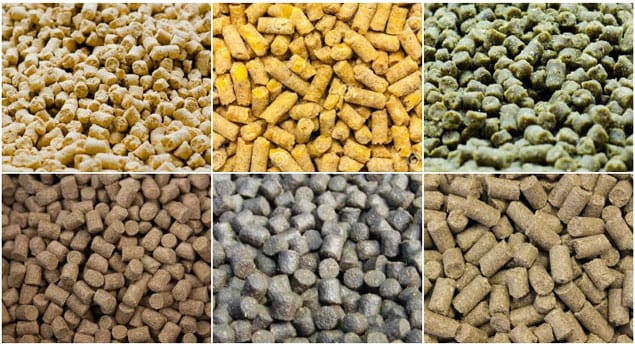 Simple method for removing aflatoxin in animal feed