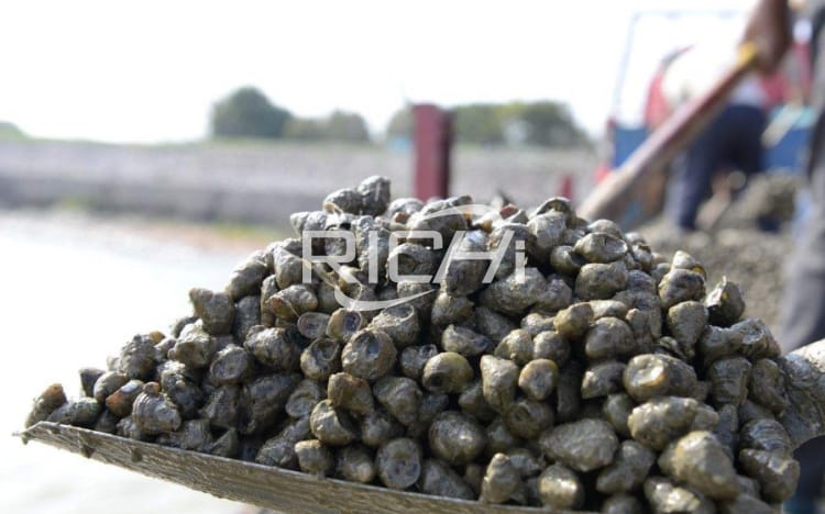 Can aquatic leftover screw shells be processed into feed with corn?