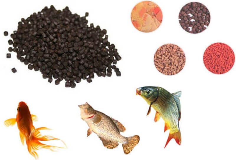 Scientific feeding method of fish feed