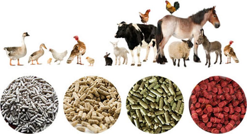 animal poultry broiler bird cow fish duck feed pellet milling machine