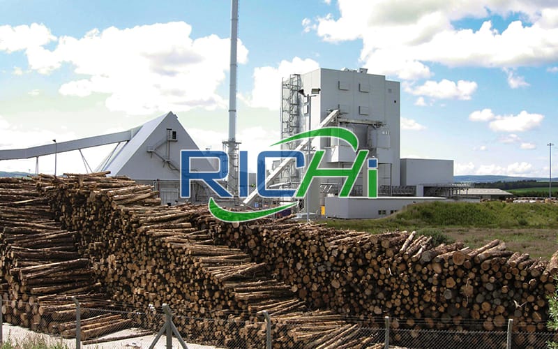 1-1.5 T/H Biomass Wood Pellet Mill Production Line in Iceland