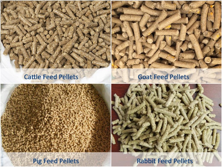 livestock feed production business