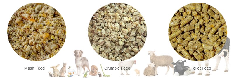 poultry chicken broiler animal feed pellet making plant