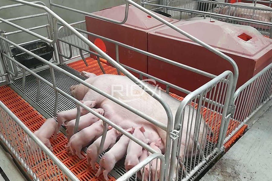 feed production equipment for pig animal feed