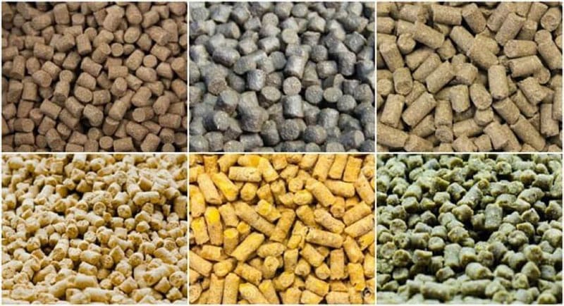 Moisture control in the main manufacturing process of animal feed processing plant