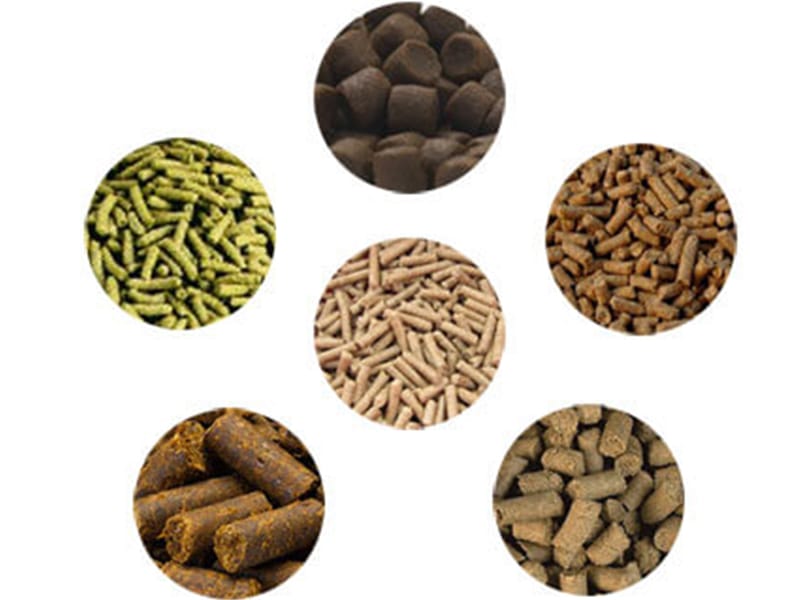 animal feed production plant manufacturer